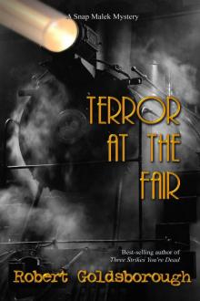 Terror at the Fair (A Snap Malek Mystery)