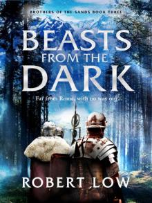 Beasts From The Dark (Brothers Of The Sands Book 3)