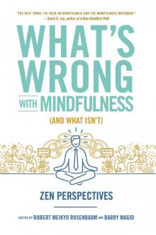 What's Wrong With Mindfulness- Zen Perspectives