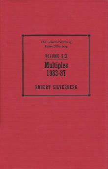 The Collected Stories of Robert Silverberg, Volume 6: Multiples: 1983-87