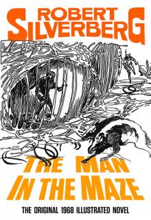 The Man in the Maze (illustrated)