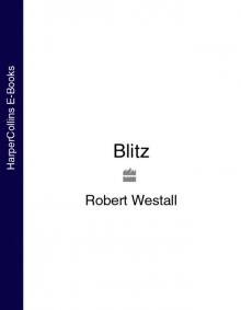 Blitz Blitz