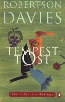 Tempest Tost tst-1