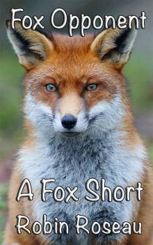 Fox Opponent (The Fox Shorts Book 3) Fox Opponent (The Fox Shorts Book 3)