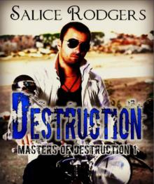 Destruction (Masters of Destruction Book 1)