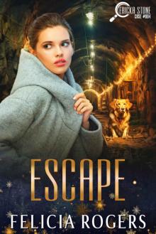 Escape, Ericka Stone Case #004
