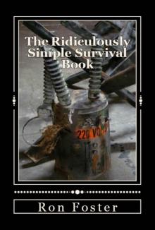 The Ridiculously Simple Survival Book The Ridiculously Simple Survival Book