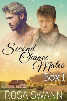 Second Chance Mates Box 1 Second Chance Mates Box 1