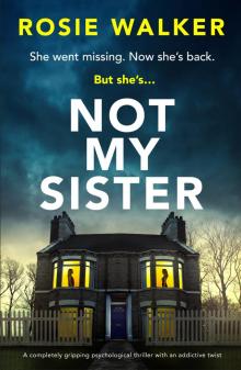 Not My Sister: A completely gripping psychological thriller with an addictive twist
