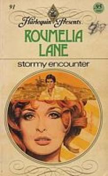 Stormy Encounter