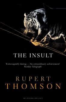 The Insult The Insult