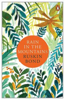Rain In the Mountains Rain In the Mountains