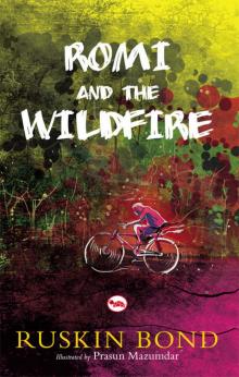 Romi and The Wildfire