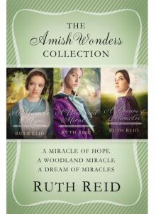 The Amish Wonders Collection The Amish Wonders Collection
