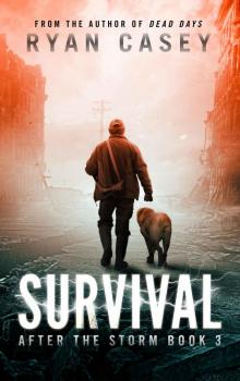 After the Storm (Book 3): Survival