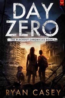 Day Zero: A Post-Apocalyptic Survival Thriller (The Blackout Chronicles Book 1)