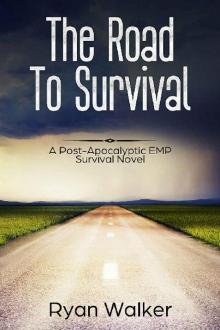 The Road to Survival : A Post Apocalyptic EMP Survival Novel