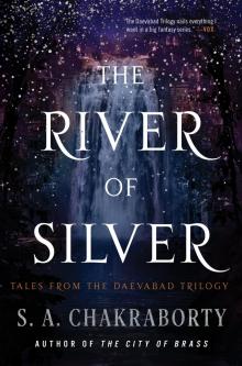 The River of Silver The River of Silver