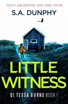 Little Witness: Totally jaw-dropping Irish crime fiction (DI Tessa Burns Book 1)