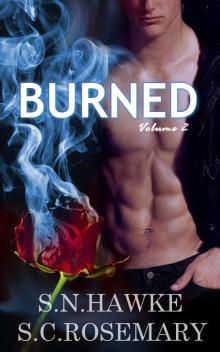 Burned 2 (Beautiful Mess)