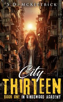 City Thirteen: Superhero Academy