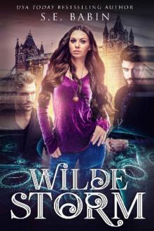 Wilde Storm
