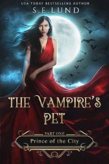 The Vampire's Pet: Part One: Prince of the City