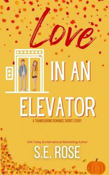 Love in an Elevator Love in an Elevator