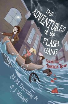 The Adventures of the Flash Gang