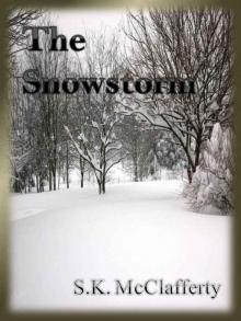 The Snowstorm