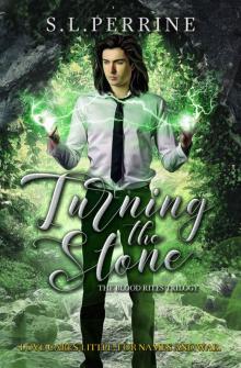 Turning the Stone (The Blood Rites Trilogy Book 2)