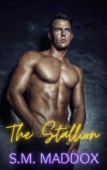 The Stallion (Billionaire Vikings Book 3)