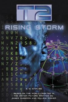 Rising Storm t2-2