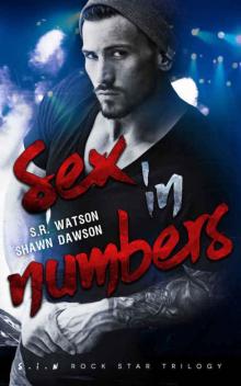 Sex in Numbers (S.I.N. Rock Star #1)