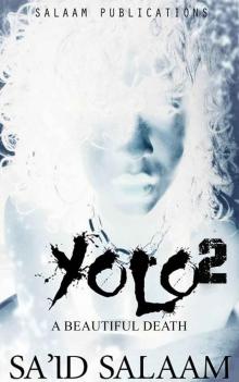 Yolo 2: A Beautiful Death