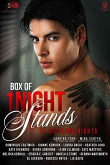 Box of 1Night Stands: 17 Sizzling Nights Box of 1Night Stands: 17 Sizzling Nights