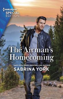 The Airman's Homecoming The Airman's Homecoming