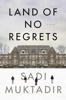 Land of No Regrets