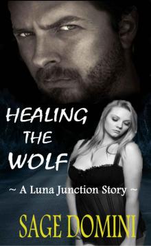 Healing the Wolf (BBW Paranormal Romance) (Luna Junction) Healing the Wolf (BBW Paranormal Romance) (Luna Junction)