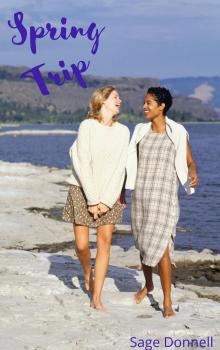 Spring Trip: A Holiday Romance Novella (Holiday Romances Book 4)
