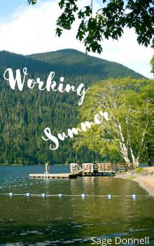 Working Summer: A Holiday Romance Novella (Holiday Romances Book 5)