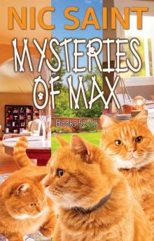 The Mysteries of Max: Mysteries of Max Box Set 18