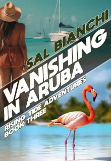 Vanishing in Aruba (Rising Tide Adventures Book 3)