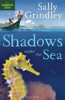 Shadows under the Sea Shadows under the Sea