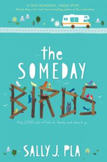 The Someday Birds The Someday Birds