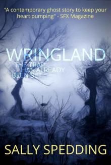 Wringland: A Chilling Ghost Story