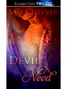 The Devil You Need The Devil You Need