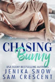 Chasing Bunny Chasing Bunny