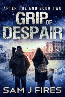 Grip of Despair: A Post-Apocalyptic EMP Survival Thriller (After the End Book 2)