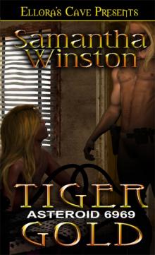 Asteroid 6969: Tiger Gold